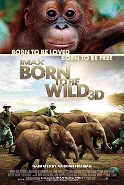 "Born to Be Wild"