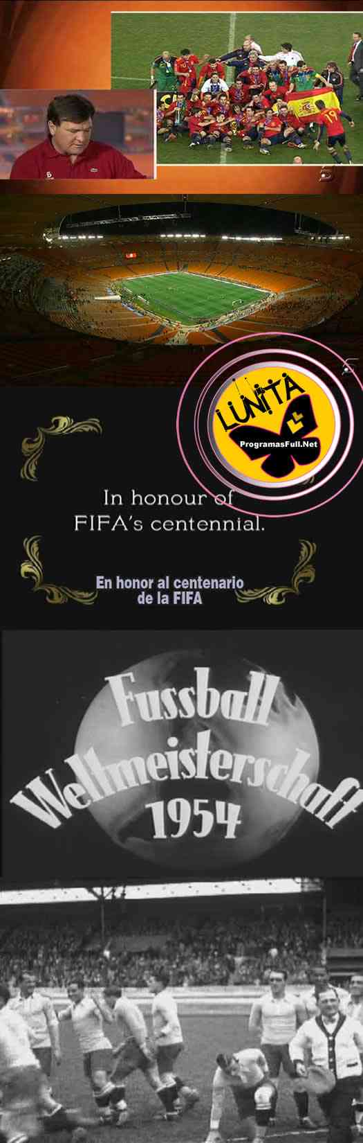 Copa Mundial de la FIFA - Colección de DVD 1930 - 2006 DVD Lunita