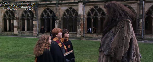 Harry Potter y la Camara Secreta 2002