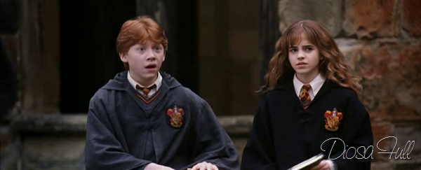Harry Potter y la Camara Secreta pelicula