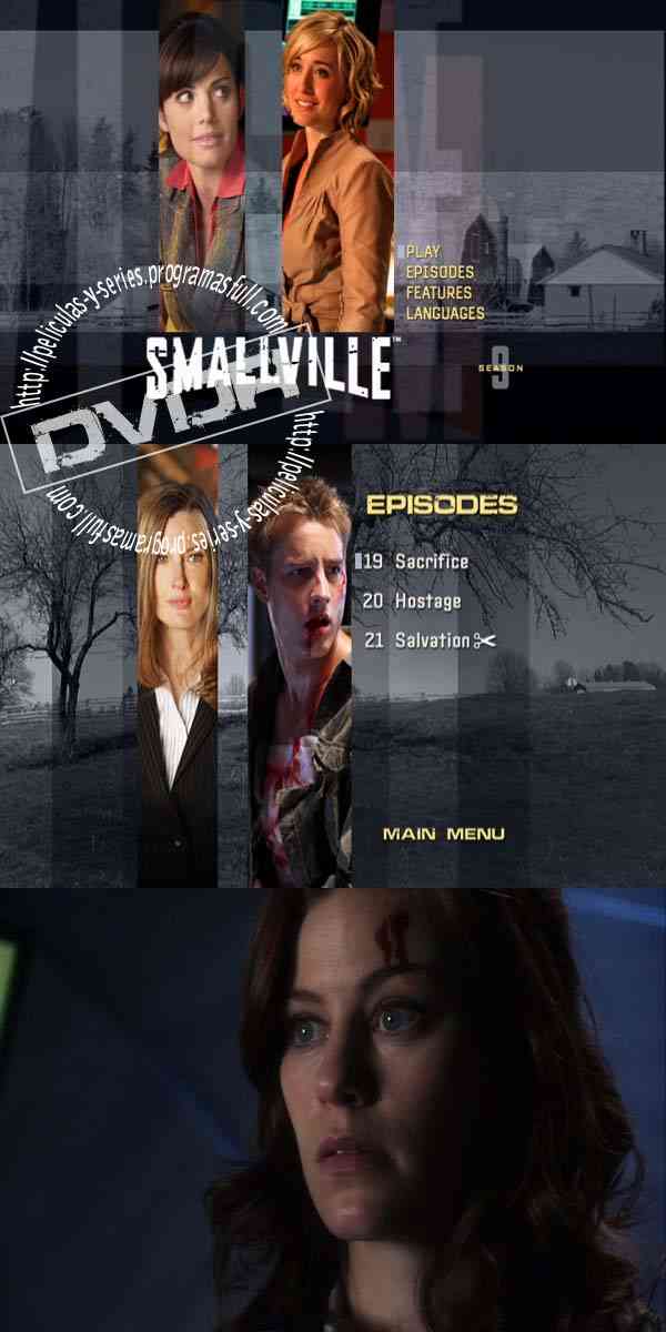 "Smallville Season 9 DVD 6"