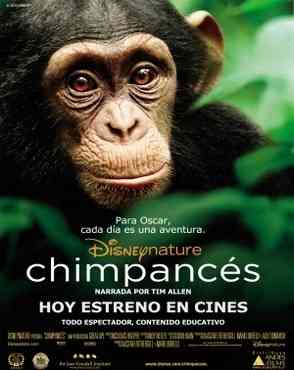 "chimpanzee dvd"