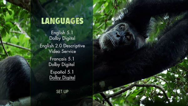 chimpanzee dvd